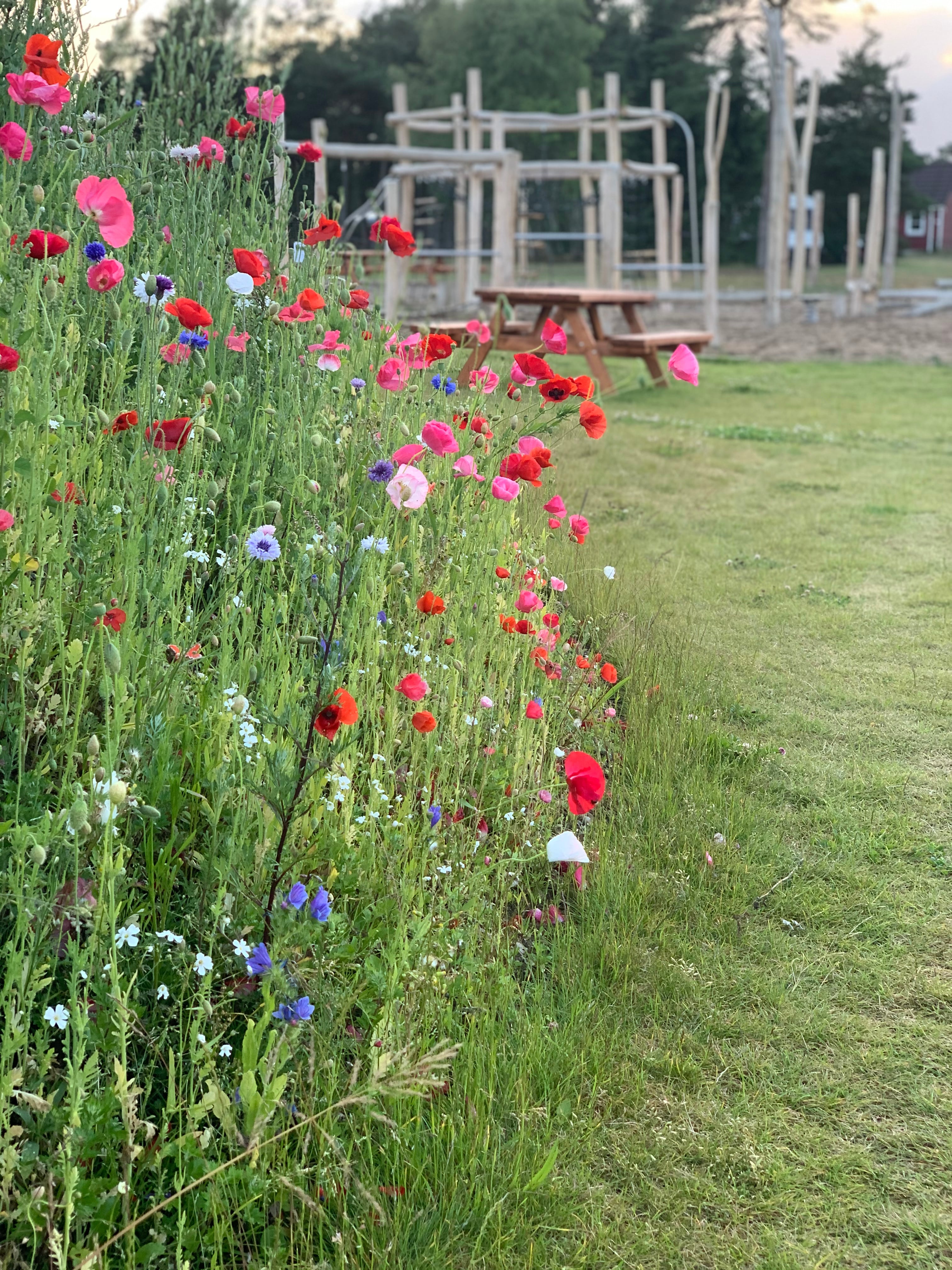 Store legeplads og fællesområde