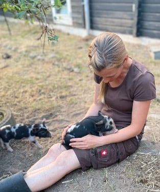 Hygge med smågrisene