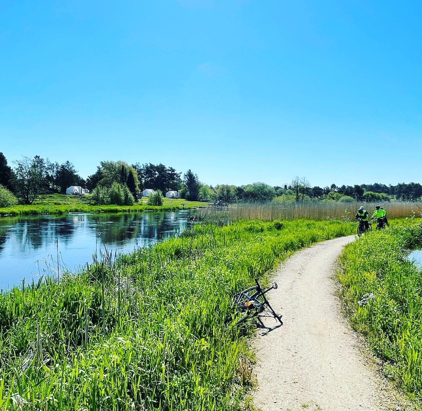 Trækstien i "baghaven"